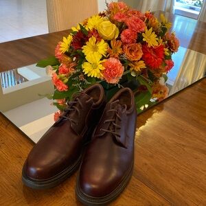 Cole Hanns men’s shoes